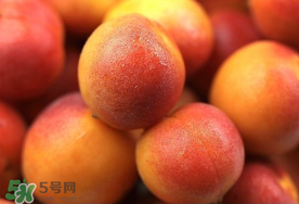 新鮮杏子可以放冰箱嗎？新鮮杏子怎么保存？