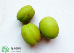 青杏怎么催熟？青杏怎么變黃？