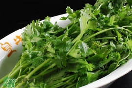 香菜是感光食物嗎？香菜是不是感光食物