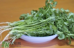 香菜是寒性食物嗎？香菜是熱性還是涼性？