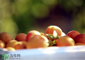 杏子好吃嗎？杏子可以多吃嗎？