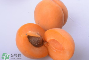 杏子好吃嗎？杏子可以多吃嗎？