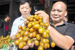 黃皮好吃嗎？黃皮是什么味道？