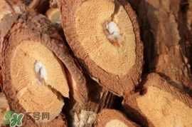山葡萄根一斤多少錢？山葡萄根功效與作用