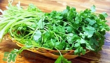 香菜是寒性食物嗎？香菜是熱性還是涼性？