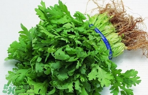 香菜是回奶的嗎？香菜是回奶還是下奶