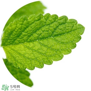 lululun plus面膜怎么樣？lululun plus面膜哪款好