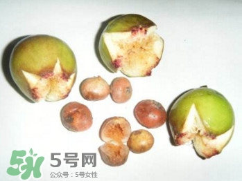 野地瓜滕熬水吃能治療什么??？野地瓜怎么吃