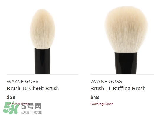 wayne goss是什么牌子？wayne goss化妝刷怎么樣？