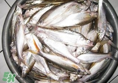翹殼是什么魚？翹殼魚多少錢一斤2017？