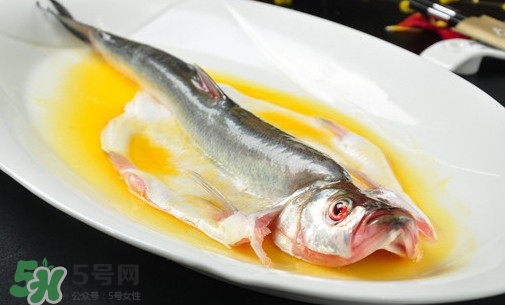 白條魚能長(zhǎng)多大？白條魚可以長(zhǎng)多大？