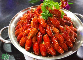 油燜大蝦吃哪些部位？怎么正確吃油燜大蝦？