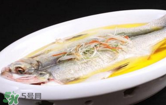 孕婦可以吃白條魚嗎？白條魚孕婦能吃嗎？