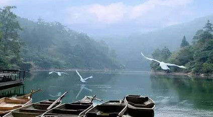 馬口魚能養(yǎng)殖嗎？馬口魚怎么養(yǎng)？
