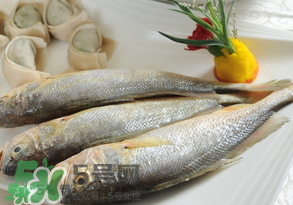 黃魚(yú)多少錢(qián)一斤？黃魚(yú)多少錢(qián)一斤2017？