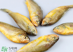 小黃魚不能和什么一起吃？小黃魚和什么相克？