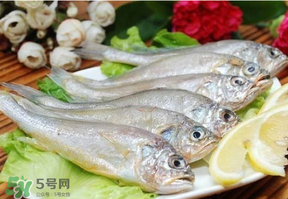 小黃魚多少錢一斤？野生小黃魚多少錢一斤？