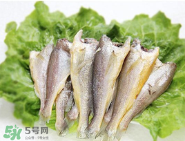小黃魚(yú)可以養(yǎng)殖嗎？小黃魚(yú)能人工養(yǎng)殖嗎？