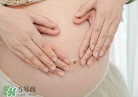 孕婦驅(qū)蚊植物推薦 孕婦能用植物驅(qū)蚊嗎？
