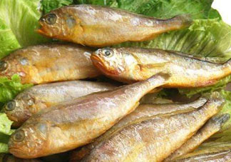 小黃魚多少錢一斤？野生小黃魚多少錢一斤？