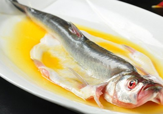 白條魚能長多大？白條魚可以長多大？