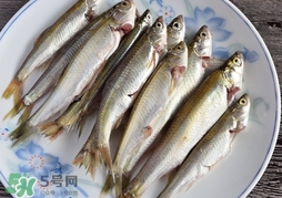 孕婦可以吃白條魚嗎？白條魚孕婦能吃嗎？