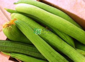 7月份吃什么蔬菜？七月份吃什么蔬菜？
