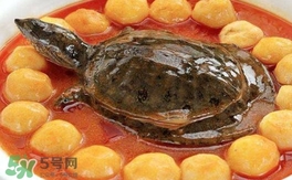 喝甲魚湯有什么好處？甲魚湯的功效與作用