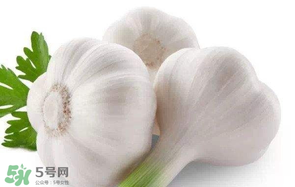 新蒜頭多少錢一斤2017？新蒜頭市場(chǎng)價(jià)格