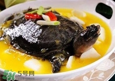 甲魚湯孕婦能喝嗎？甲魚湯孕婦可以喝嗎