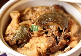 甲魚(yú)怎么做好吃？甲魚(yú)怎樣做最好吃
