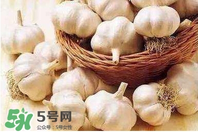 新蒜頭怎么保存不發(fā)芽？新蒜頭怎么存放
