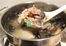 甲魚湯怎么做？甲魚湯的做法