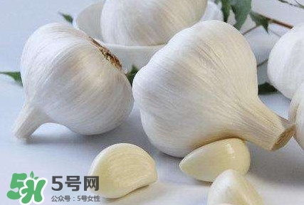 新蒜頭怎么保存不發(fā)芽？新蒜頭怎么存放