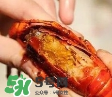 蝦黃孕婦能吃嗎？蝦黃在哪個位置圖解