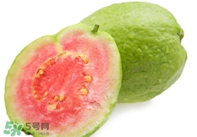 番石榴什么時候吃最好？番石榴什么季節(jié)吃最好