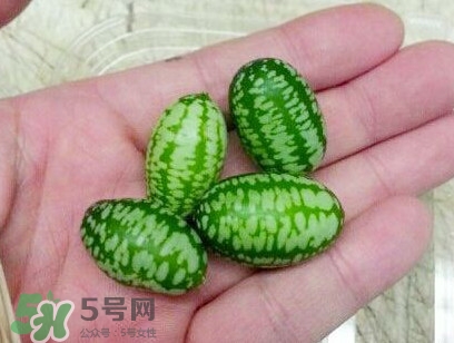 迷你西瓜能生吃嗎？迷你西瓜怎么吃