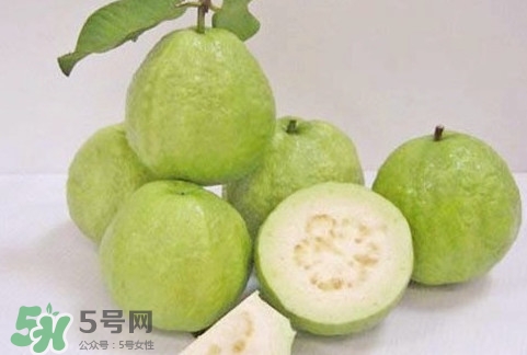 番石榴什么時候成熟？番石榴什么時候上市