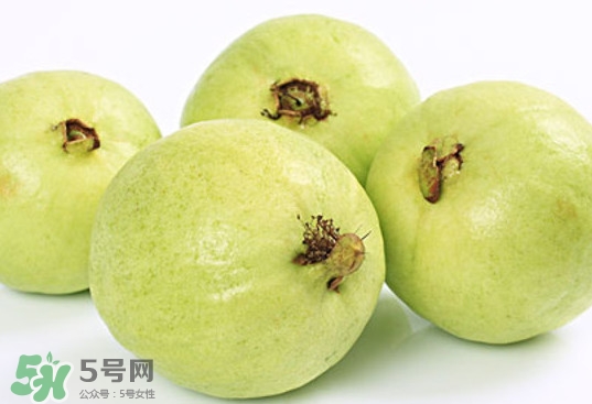 番石榴什么時候成熟？番石榴什么時候上市