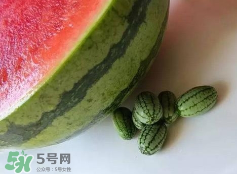 迷你西瓜是轉(zhuǎn)基因水果嗎？迷你西瓜是不是轉(zhuǎn)基因？