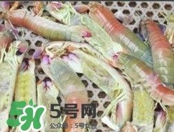 蝦黃孕婦能吃嗎？蝦黃在哪個位置圖解