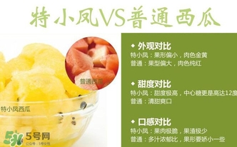 特小鳳西瓜多少錢一斤2017？特小鳳西瓜價格
