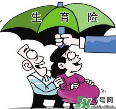 生育保險能報多少錢？生育保險報銷條件、流程