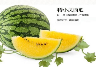 特小鳳西瓜是轉(zhuǎn)基因嗎？特小鳳西瓜是不是轉(zhuǎn)基因
