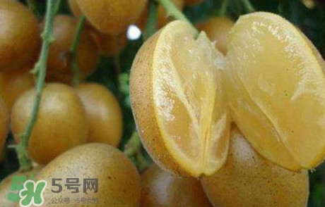 黃皮果多少錢一斤2017？黃皮果價格