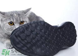 adidas alphabounce上腳怎么樣？阿迪達(dá)斯阿爾法小椰子測(cè)評(píng)