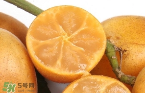 黃皮果怎么保存？黃皮果如何保存