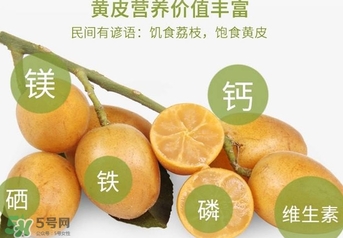 如何種植黃皮果？黃皮果怎么種植？