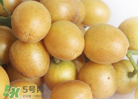 雞心黃皮幾年才掛果？雞心黃皮如何種植管理