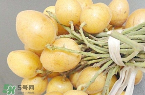 黃皮果多少錢一斤2017？黃皮果價格
